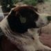 Wanda Forbes - Facebook