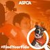 Wanda Forrest - Facebook