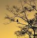 Wanda Frey - Facebook