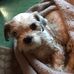 Wanda Fulton - Facebook