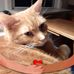 Wanda Fulton - Facebook