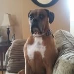 Wanda Galloway - @wandagalloway - Instagram