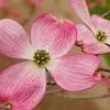 wandagatrel - @wandagatrel - TikTok