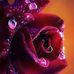 Wanda Gaston - Facebook