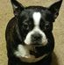 Wanda Aileen Glazener - Facebook