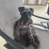 Wandagoetzmann - @maddie.rose82 - TikTok