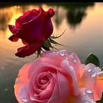 Wanda Gomes - Facebook