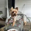 Gabbylovessweetpea - @wanda.gossett - TikTok