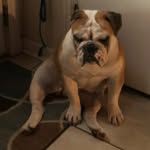 Wanda Goss - @wgoss07 - Instagram