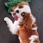 Wanda Gosse - @gossewanda - Instagram