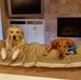 Wanda Gottschalk - Facebook