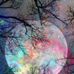 Wanda Grasley - Facebook