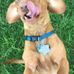 Wanda Hackett - Facebook