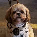 Wanda Hackman - @colebysmom1 - Instagram