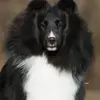 wandahathcock - @wandahathcock - TikTok