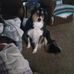 Wanda Hahn - Facebook
