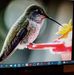 Wanda Haney - Facebook