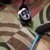 Wanda Posey-Hardwick - @wanda.poseyhardwi - TikTok