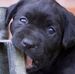 Wanda Harmon - Facebook