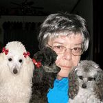 Wanda Harrington - @wandaharrington12 - Instagram