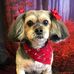 Wanda Head - Facebook