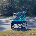 Wanda Heck - @heckwanda - Instagram