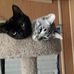 Wanda Heckbert - Facebook