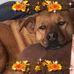 Wanda Helton - Facebook