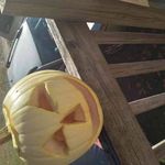 Wanda Helton - @wanda.helton.1865 - Instagram