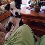 Wanda Helton - @sassie9696 - Instagram