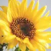 Wonderfully Blessed - @wandaherron8 - TikTok