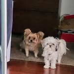 Wanda Hersey Richey Thompson - @wanda.h.thompson.1 - Instagram