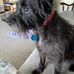 Wanda Hershey - Facebook
