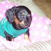 Wanda Hess - Facebook
