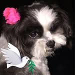 Wanda Hewitt - @wanda.hewitt.376 - Instagram