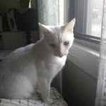 Wanda Hodges - @wanda.hodges.3192479 - Instagram