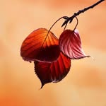 Wanda Hodges - @wanda.hodges62 - Instagram