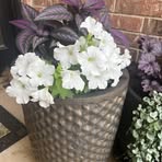 Wanda Hogan - Facebook