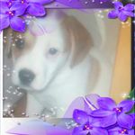 Wanda Holbrook - @wanda.holbrook0905 - Instagram
