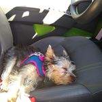 Wanda Holder - @wandaholder1 - Instagram