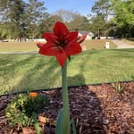 Wanda Holder - @wanda_c_holder - Instagram