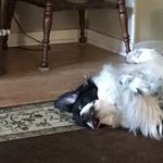 Wanda Holder - @bjwholder - Instagram