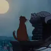 WandaHolder - @rudolzzb54p - TikTok