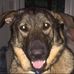 Wanda Hollis - Facebook
