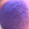 hollywanda1 - @hollywanda1 - TikTok