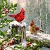 Wanda Holman - Facebook