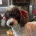 Wanda Hoover - Facebook