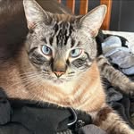 Wanda Horne - @five_hornes - Instagram