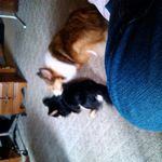 Wanda Brunkhorst - @wandabrunkhorst - Instagram
