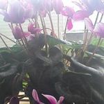 Wanda House - @house_wanda - Instagram